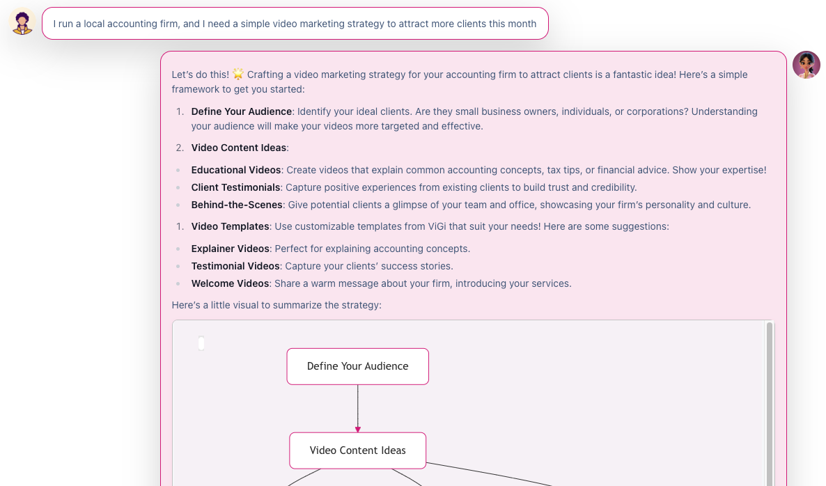 ViGi's video marketing plan